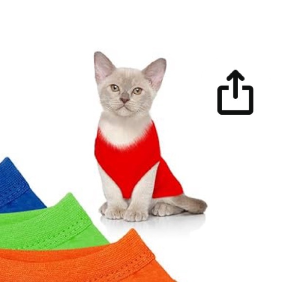 WEEWOODAY PET SHIRT - Picture 7 of 12